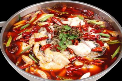 成都金牛火鍋魚技術培訓學校哪家強？